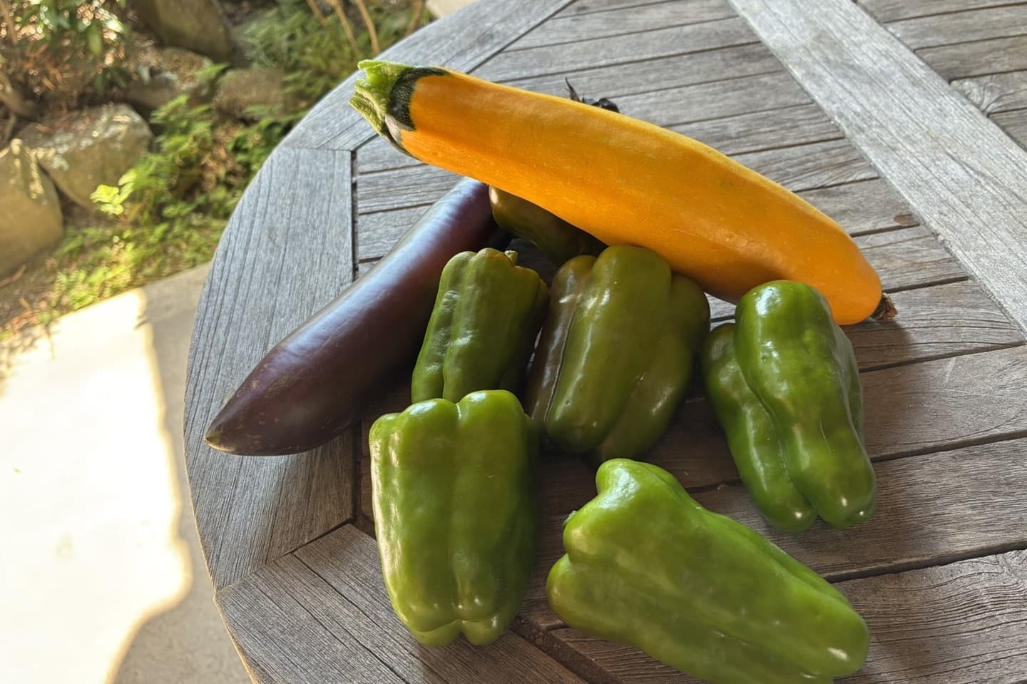 協生栽培　ピーマン　ナス